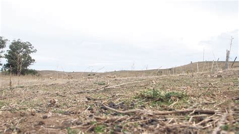 Insisten en el uso adecuado de agroquímicos para minimizar impacto en