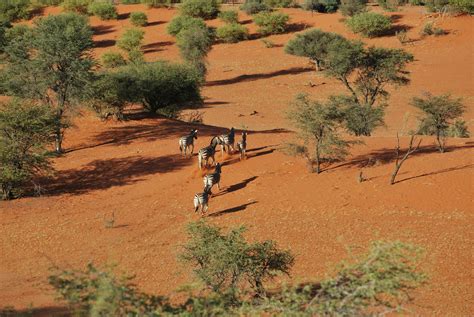 Pin on Namibia