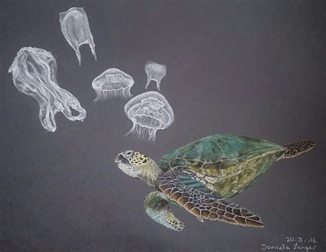 Ocean Plastic — SEE Turtles