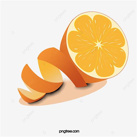 orange peel white transparent orange peel  orange orange clipart