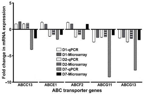 Pathogens Free Full Text Delineating The Role Of Aedes Aegypti ABC