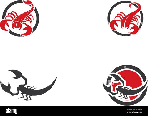 Scorpion Logo Template Vector Illustration Stock Vector Image Art Alamy