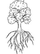 Página Para Colorear De árbol Con Raíces