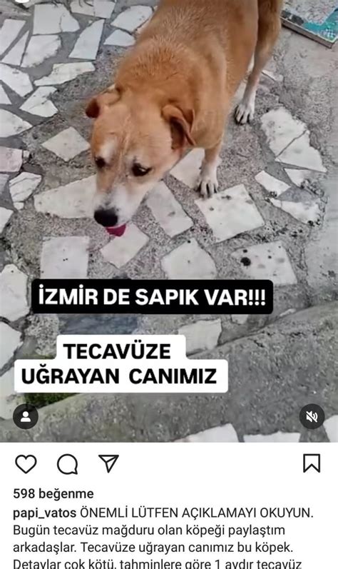 İğrenç olay Köpeğe tecavüz etti şok savunma yaptı Komşu komşunun