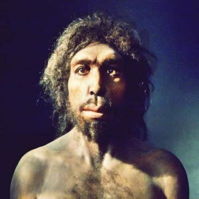 homo antecessor manusia purba ciri ciri  penjelasan