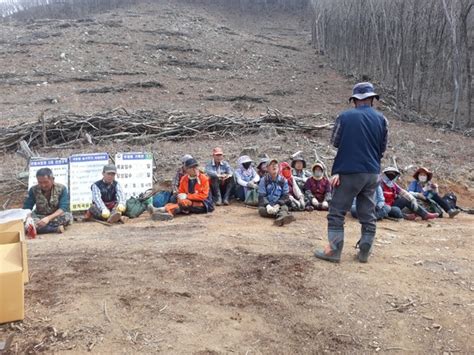 산림청 ‘매월 4일 산림사업 안전점검의 날 지정산림 분야 안전사고 예방