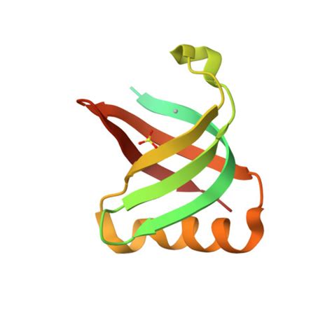 Rcsb Pdb Bhu Crystal Structure Of Silf Ag I Form