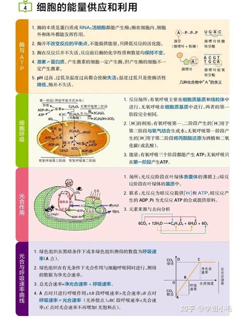 高中生物必背16张知识点表格汇总 知乎