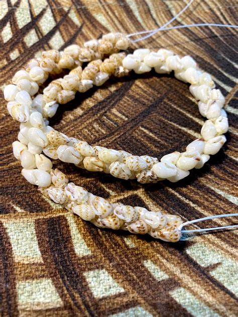 Niihau Shell Necklace Niihau Shells Shell Necklaces Hawaii Jewelry