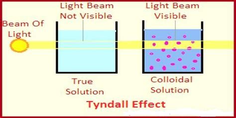 Optical Property of Colloids - QS Study