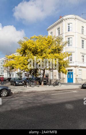 Lupus Street Pimlico London Stock Photo Alamy