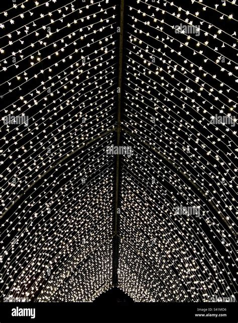 Twinkling fairy lights Stock Photo - Alamy