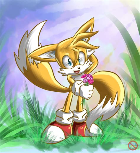 CE: Tails the fox by shadowhatesomochao on DeviantArt