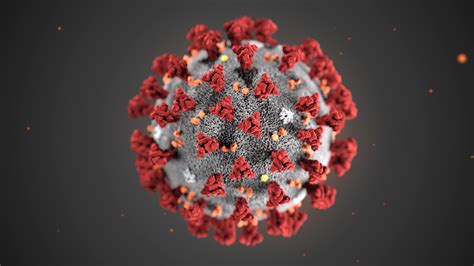 Coronavirus The Washington Post