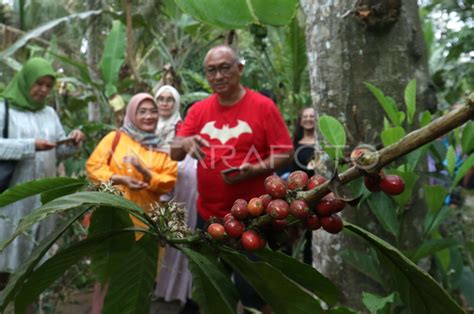 Mengenalkan Ekonomi Desa Melalui Wisata Antara Foto