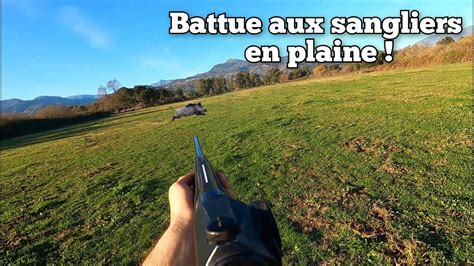 Chasse Aux Sangliers Des Tirs Plein Champ 2023 2024 YouTube