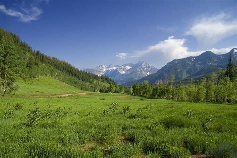 Mountain Meadow Photograph By Mark Smith Fine Art America