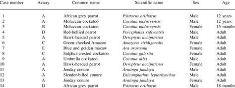 Origin, species, age and sex of psittacine birds examined... | Download ...