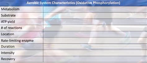 Diagram of Aerobic System Characteristics | Quizlet