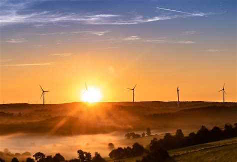 Beneficios Que Tiene El Sol Para La Tierra Girasol Energ A