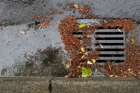 National Stormwater Day Program Spotlight Adopt A Drain Washington