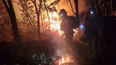 Incendio Forestal En Zapopan Reportaron Brigadistas Con Quemaduras De