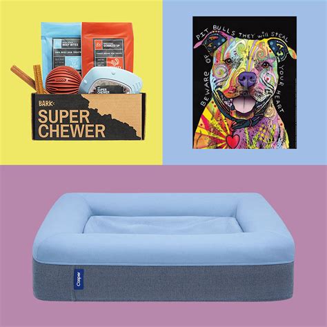 The 66 Best Gifts for Dog Lovers in 2022 — Dog Gifts for Pups & Owners