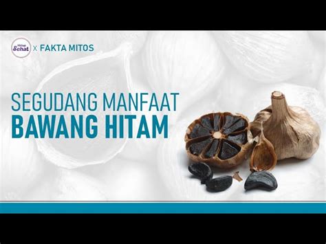 Temukan Manfaat Bawang Hitam Yang Jarang Diketahui Demi Kesehatan Anda