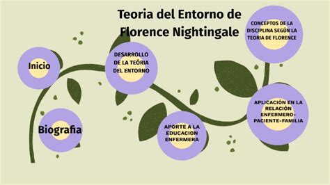 Teoría Del Entorno De Florence Nightingale Descubre Su Impacto En La