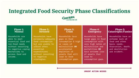 Explainer What And When Is A Famine Concern Worldwide