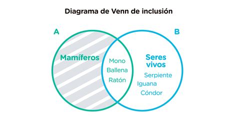 Diagrama De Venn Qu Es C Mo Hacer Uno Y Ejemplos