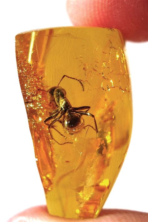 Amber (color) - Wikipedia