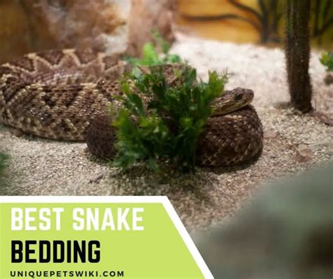 Top Choices Of Best Snake Bedding For Cozy Habitat