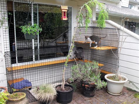 Patio Cat Enclosure Beautiful World Living Environments