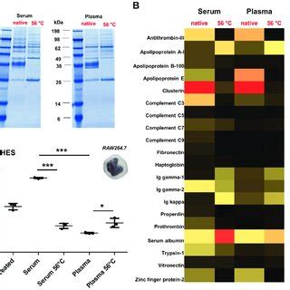 Heat Inactivation Affects The Adsorption Behavior Of Complement