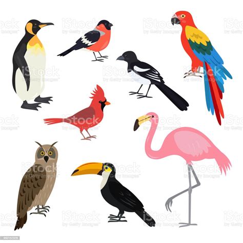 Ilustraci N De Conjunto De Aves Lindo De Dibujos Animados Sobre Fondo