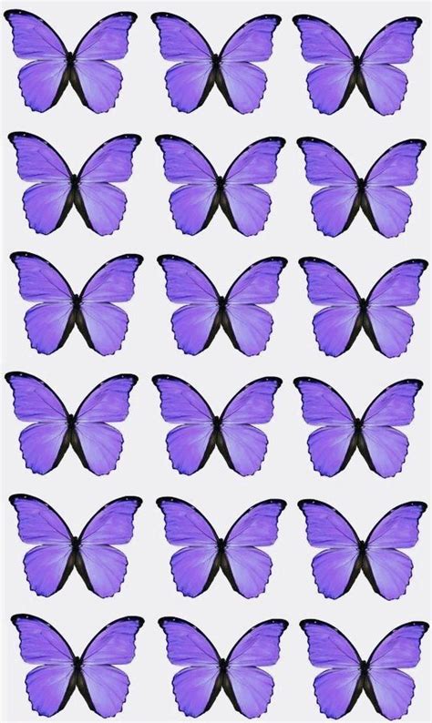 Purple Butterflies Are Arranged In Rows On A White Background With