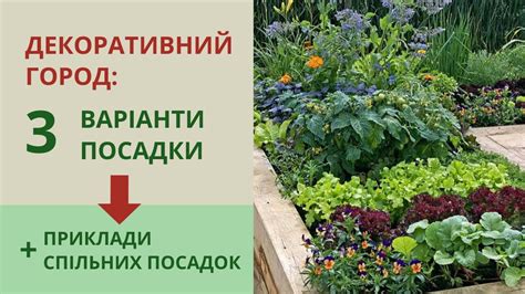 Декоративний город: створюємо огородні клумби! - YouTube