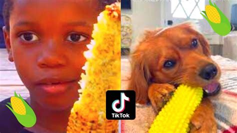 Its Corn Song🌽tiktok Compilation🌽 Youtube