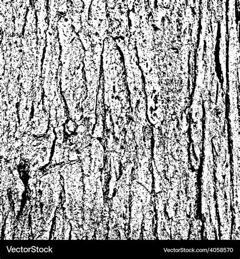 Tree bark texture Royalty Free Vector Image - VectorStock