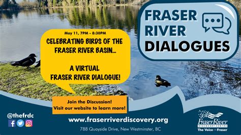 Celebrating Birds of the Fraser River Basin - A Virtual Fraser River ...