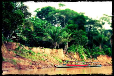 Madre de Dios River, Amazon, Peru | Amazon rainforest, Rainforest, Peru travel