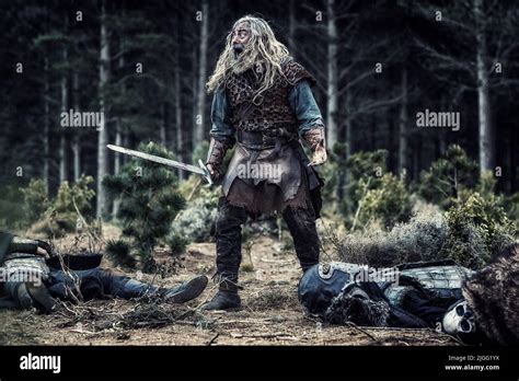 DARRELL D SILVA NORTHMEN A VIKING SAGA 2014 Stock Photo Alamy