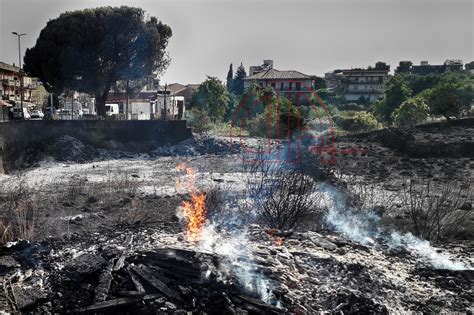 Ancora Fiamme In Sicilia Case Evacuate A Gangi E Balestrate Live Sicilia