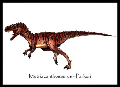 Metriacanthosaurus Pictures & Facts - The Dinosaur Database