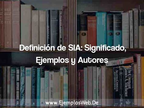 Definición de SIA Significado Ejemplos y Autores