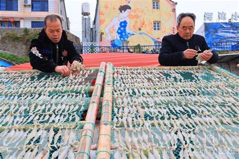 浙江玉环：冬日渔民趁晴晾晒鱼鲞忙 人民图片网