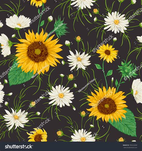 Seamless Pattern Sunflowers White Chamomile Flowers Stock Vector