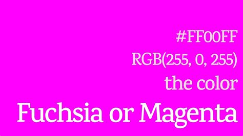 What Color Is Fuchsia - Effy Moom