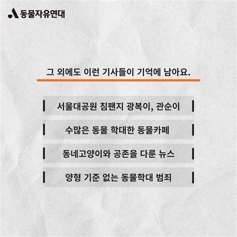 동물자유연대 동물자유연대x한국일보 2022년 가장 인상깊은 동물 뉴스는